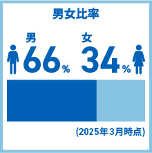 男女比率 男66% 女34% (2025年3月時点)