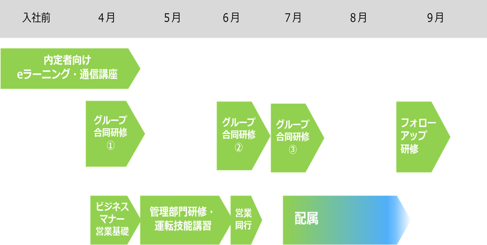 入社1年目の研修